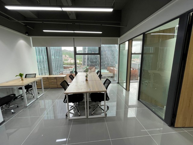 工地农业爬山虎费用是多少